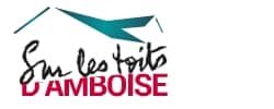 APT | SUR LES TOITS D'AMBOISE